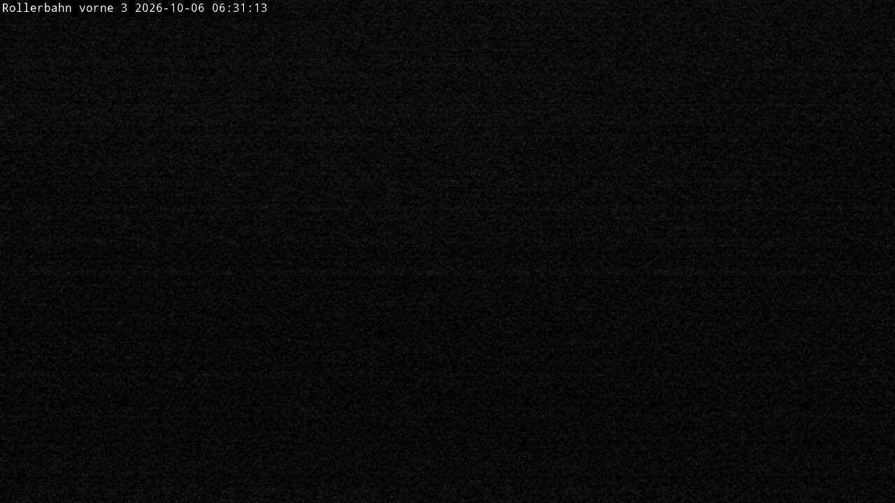 Archiv Foto Webcam Willingen - Blick Rollerbahn der Biathlon Arena