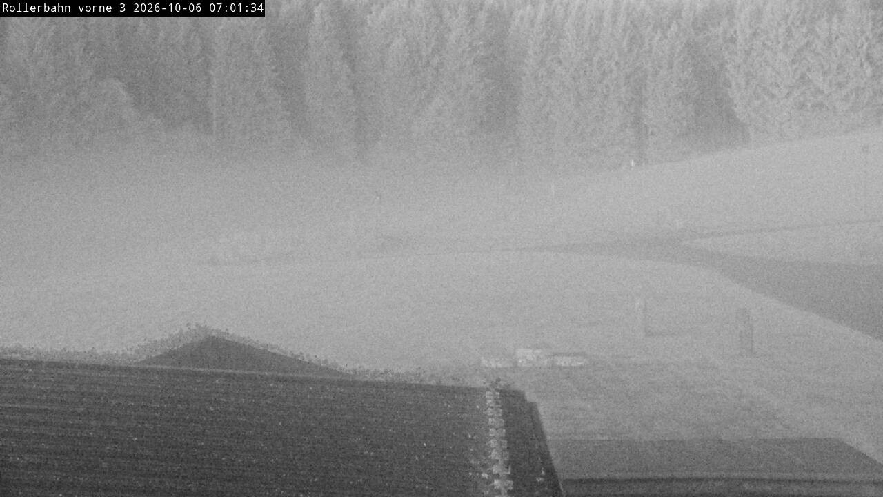 Archiv Foto Webcam Willingen - Blick Rollerbahn der Biathlon Arena