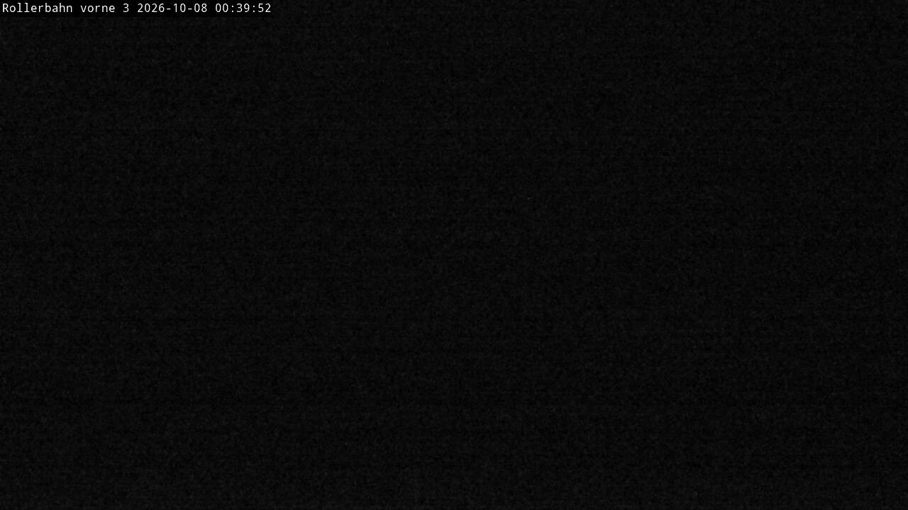 Archived image Webcam Willingen - View Roller Ski in Biathlon Arena