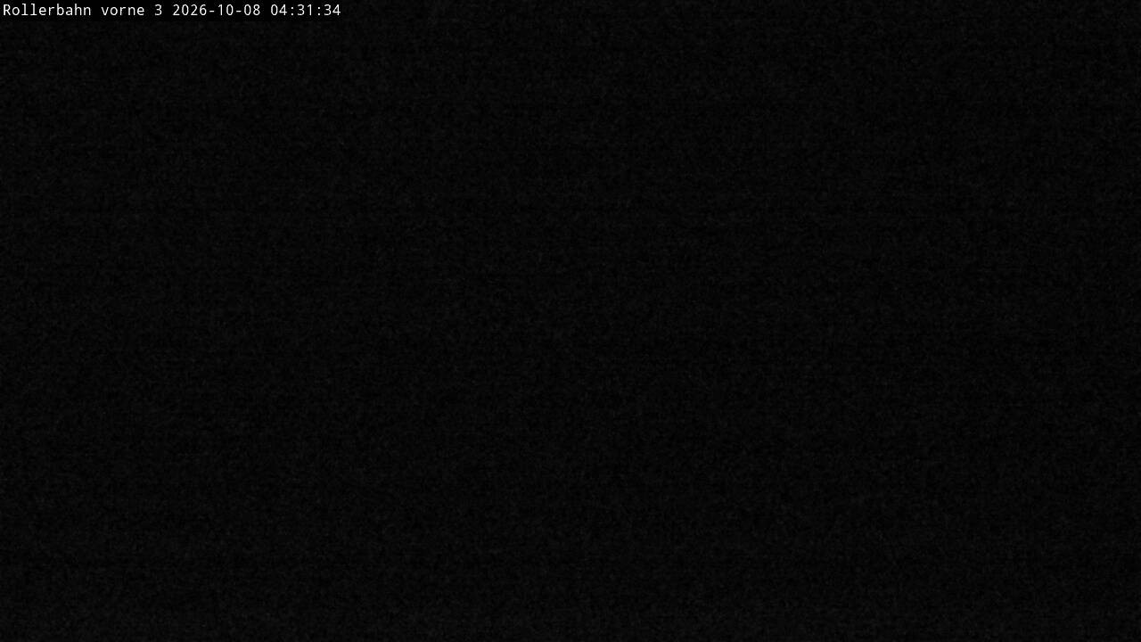 Archived image Webcam Willingen - View Roller Ski in Biathlon Arena