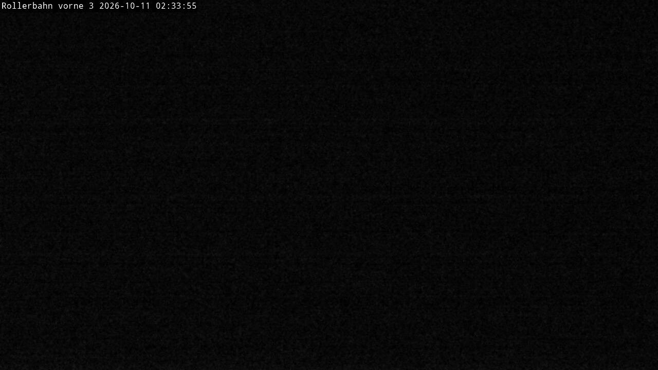 Archiv Foto Webcam Willingen - Blick Rollerbahn der Biathlon Arena