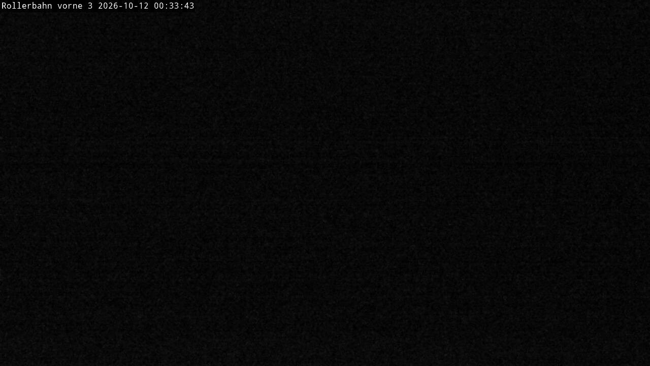 Archiv Foto Webcam Willingen - Blick Rollerbahn der Biathlon Arena