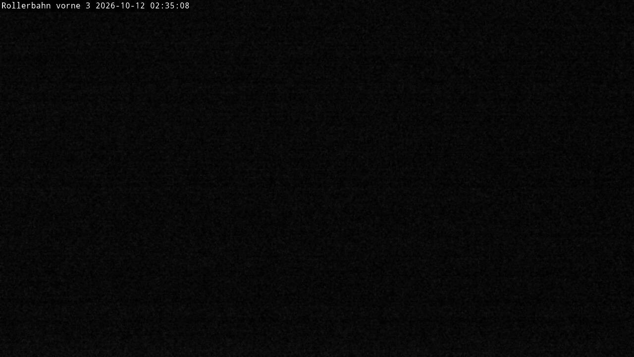 Archiv Foto Webcam Willingen - Blick Rollerbahn der Biathlon Arena