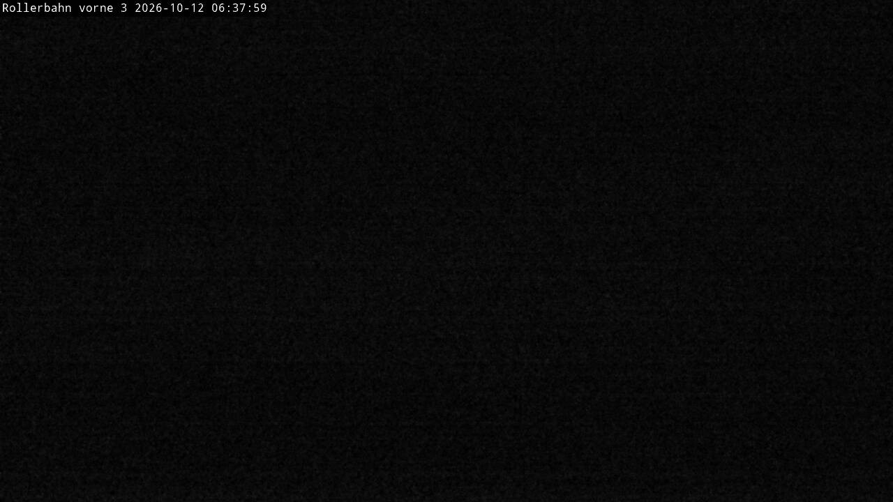 Archiv Foto Webcam Willingen - Blick Rollerbahn der Biathlon Arena
