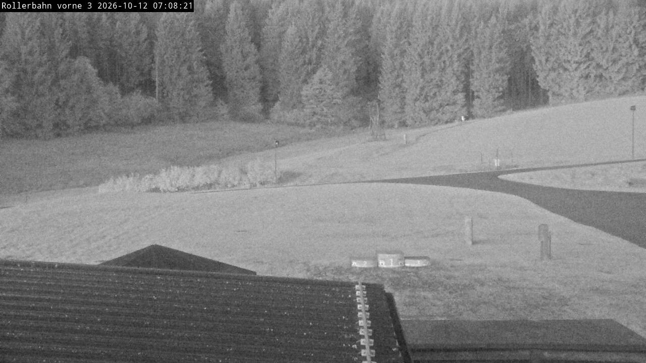 Archiv Foto Webcam Willingen - Blick Rollerbahn der Biathlon Arena