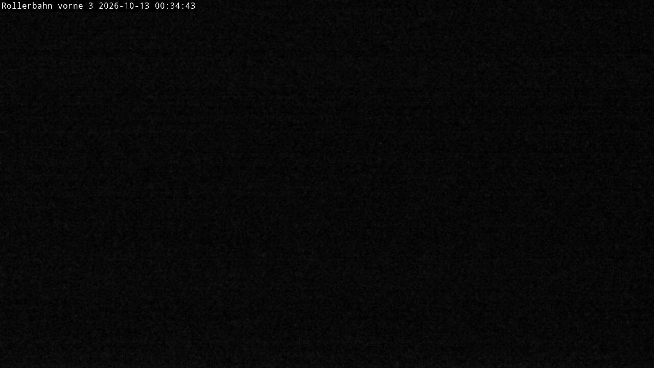 Archiv Foto Webcam Willingen - Blick Rollerbahn der Biathlon Arena