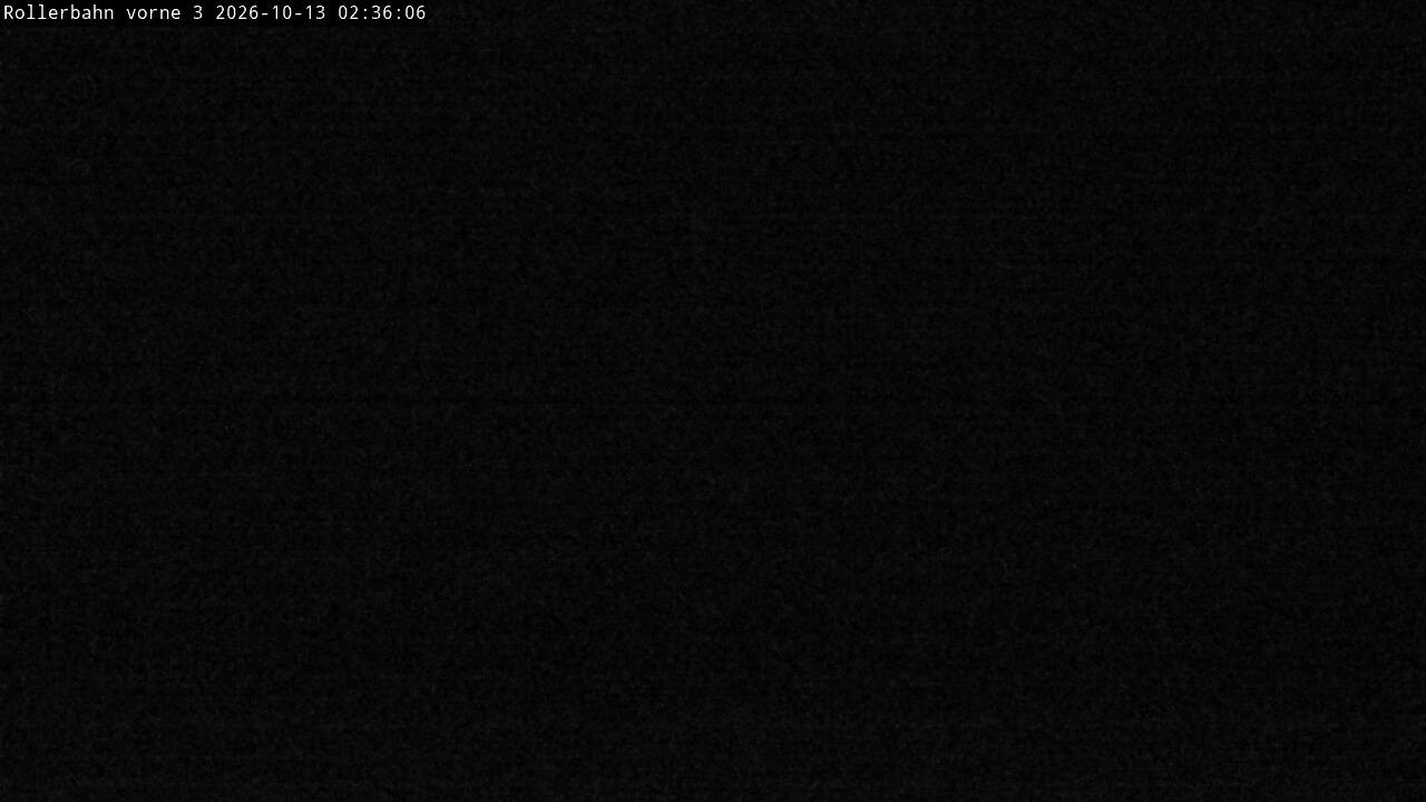 Archiv Foto Webcam Willingen - Blick Rollerbahn der Biathlon Arena
