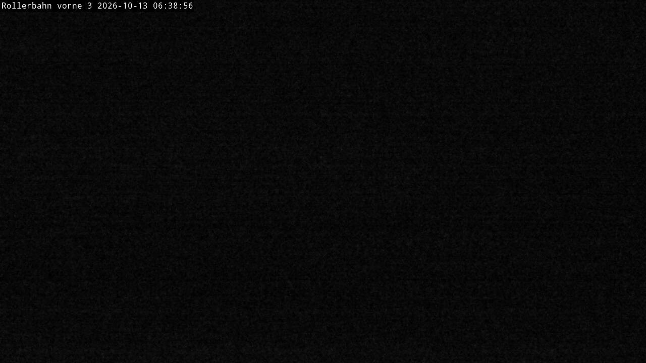 Archiv Foto Webcam Willingen - Blick Rollerbahn der Biathlon Arena