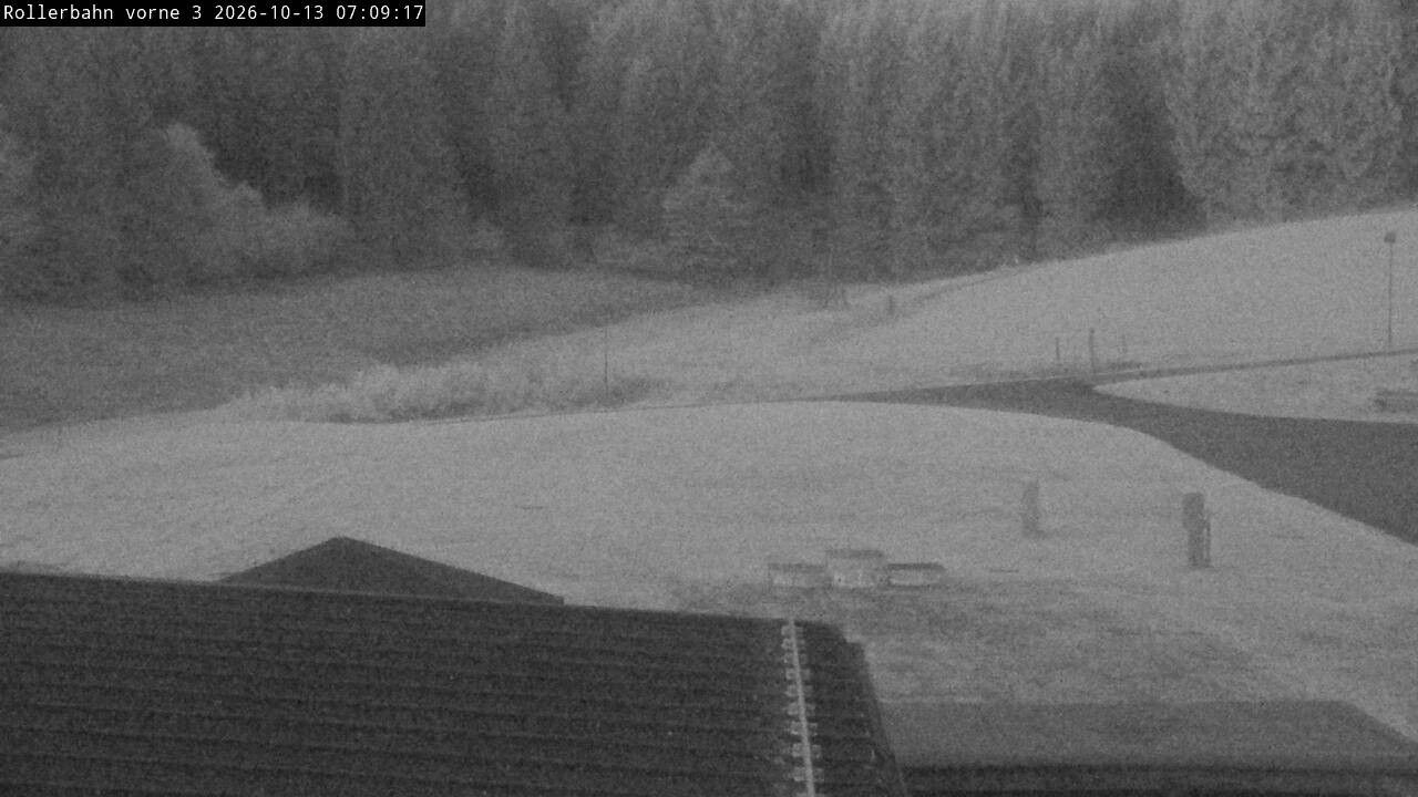 Archiv Foto Webcam Willingen - Blick Rollerbahn der Biathlon Arena