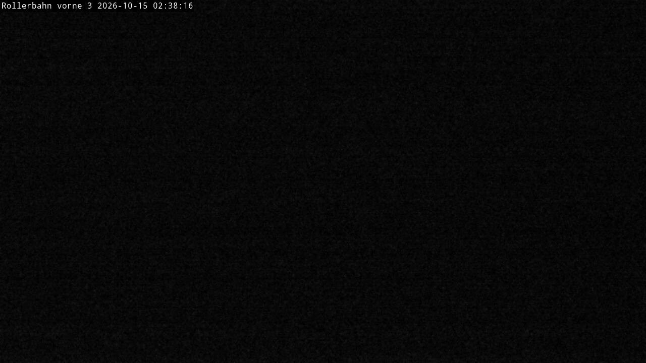 Archived image Webcam Willingen - View Roller Ski in Biathlon Arena