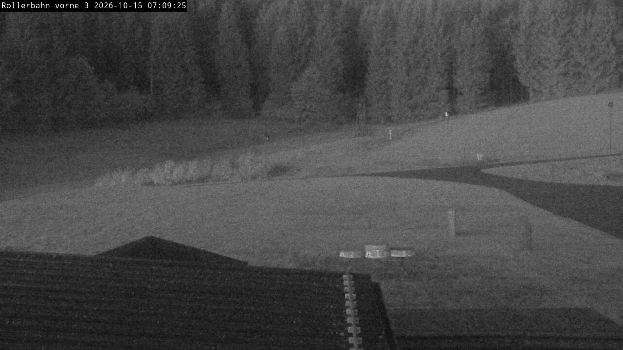 Archived image Webcam Willingen - View Roller Ski in Biathlon Arena
