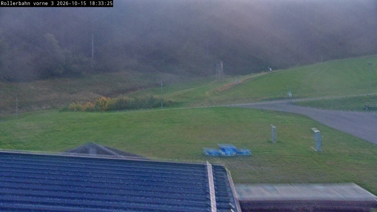 Archived image Webcam Willingen - View Roller Ski in Biathlon Arena