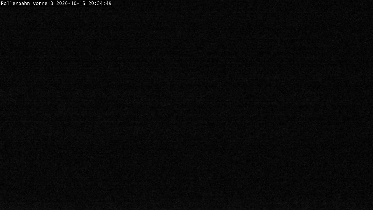 Archived image Webcam Willingen - View Roller Ski in Biathlon Arena
