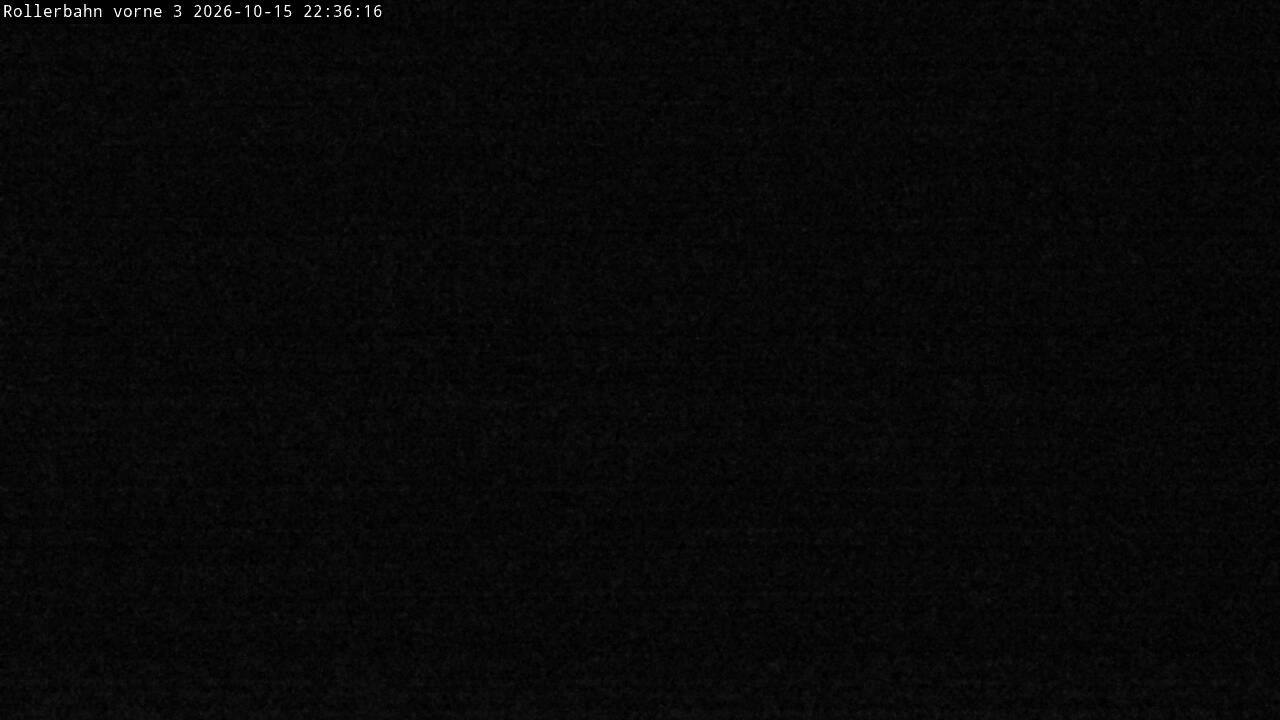 Archived image Webcam Willingen - View Roller Ski in Biathlon Arena