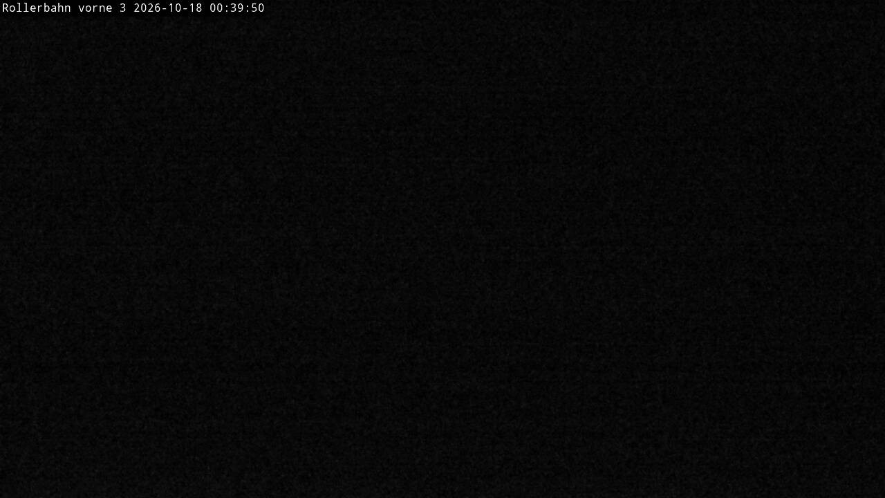 Archived image Webcam Willingen - View Roller Ski in Biathlon Arena