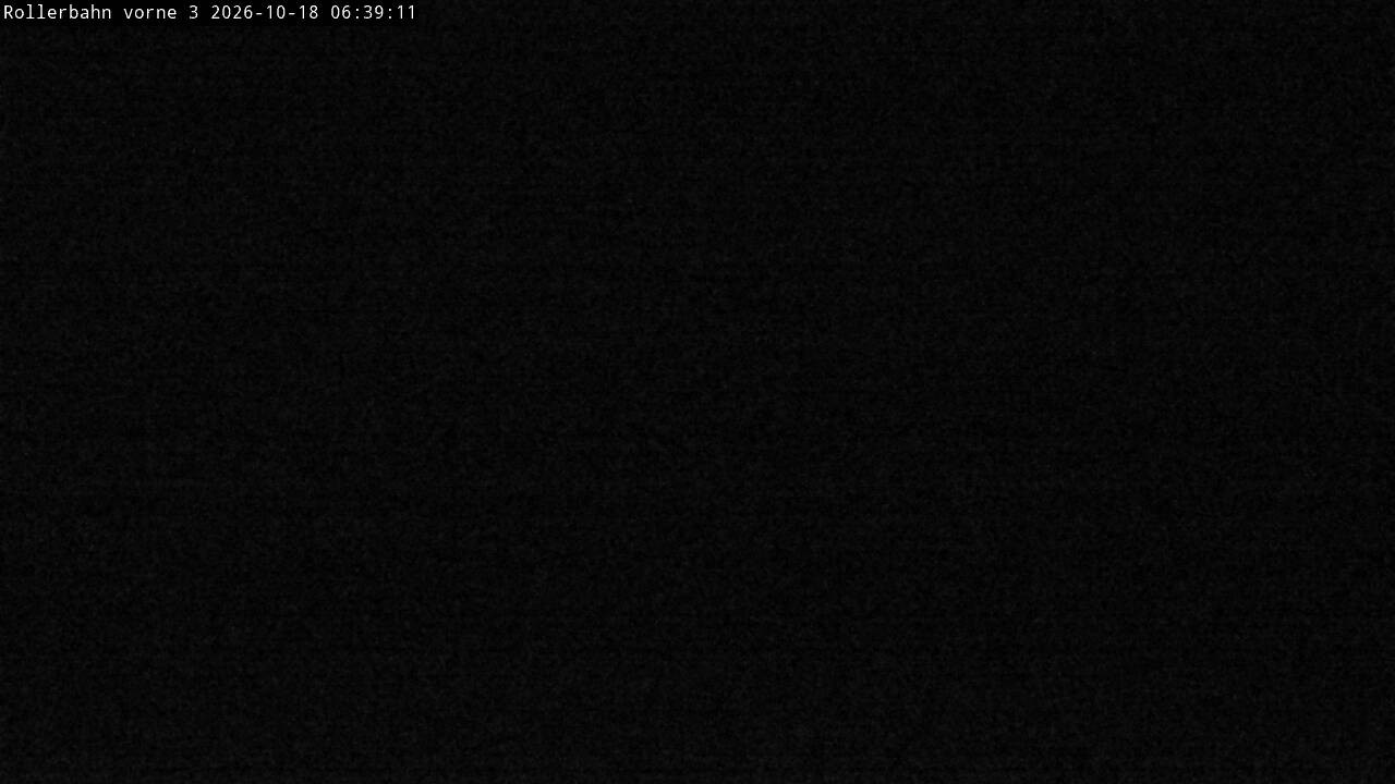 Archived image Webcam Willingen - View Roller Ski in Biathlon Arena