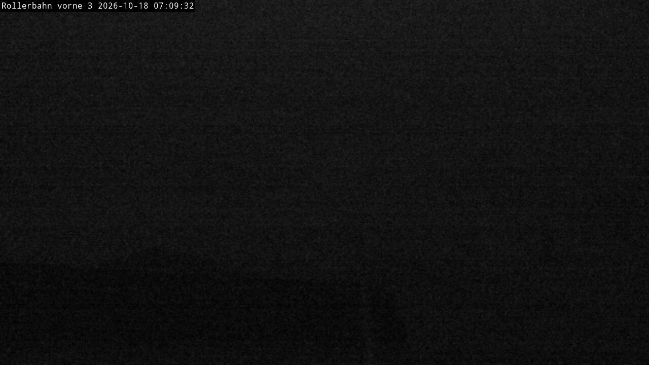 Archived image Webcam Willingen - View Roller Ski in Biathlon Arena