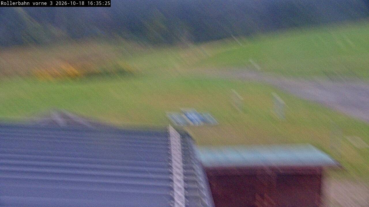 Archived image Webcam Willingen - View Roller Ski in Biathlon Arena