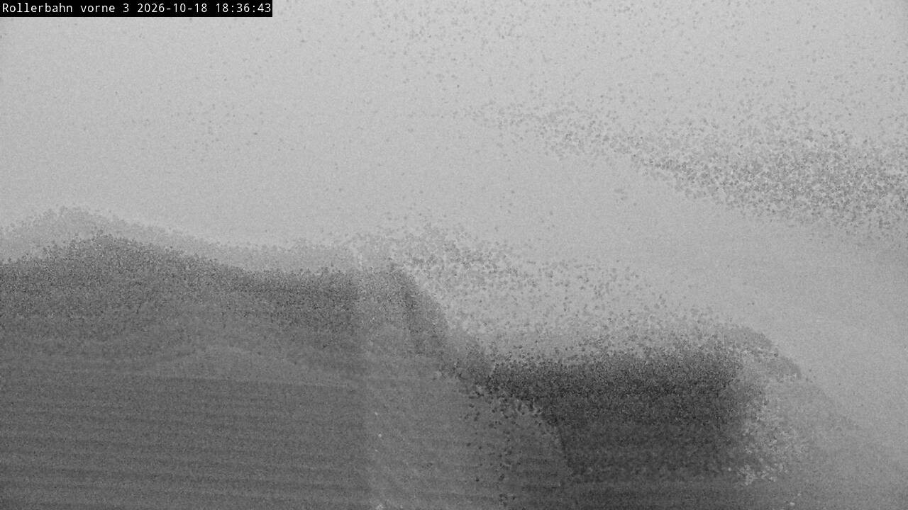 Archived image Webcam Willingen - View Roller Ski in Biathlon Arena