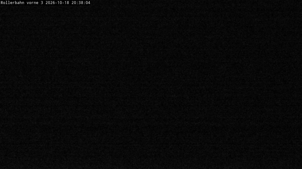 Archived image Webcam Willingen - View Roller Ski in Biathlon Arena