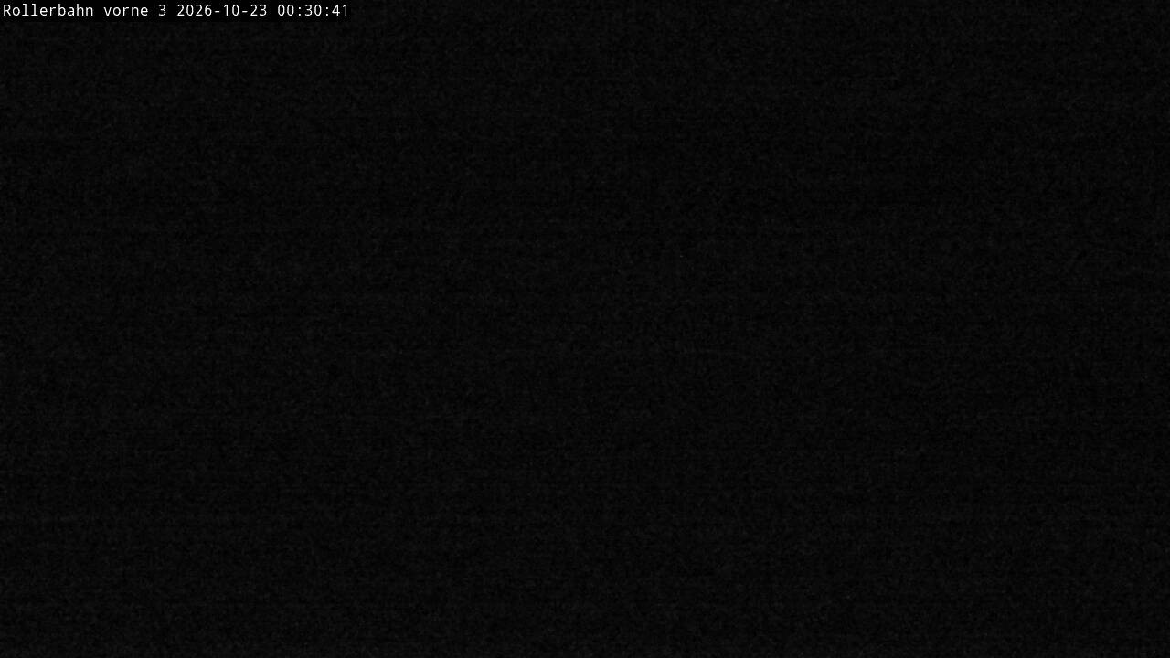 Archiv Foto Webcam Willingen - Blick Rollerbahn der Biathlon Arena