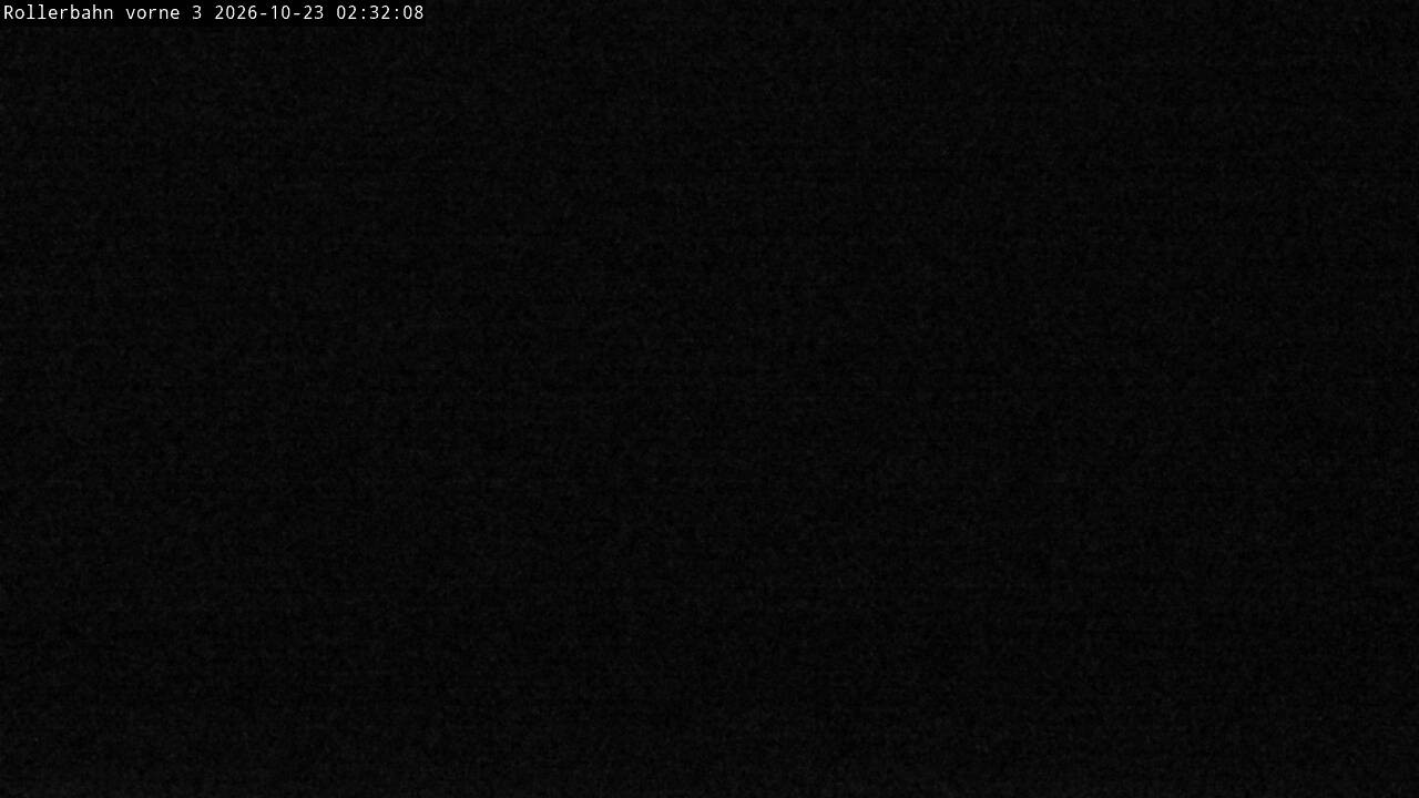 Archiv Foto Webcam Willingen - Blick Rollerbahn der Biathlon Arena