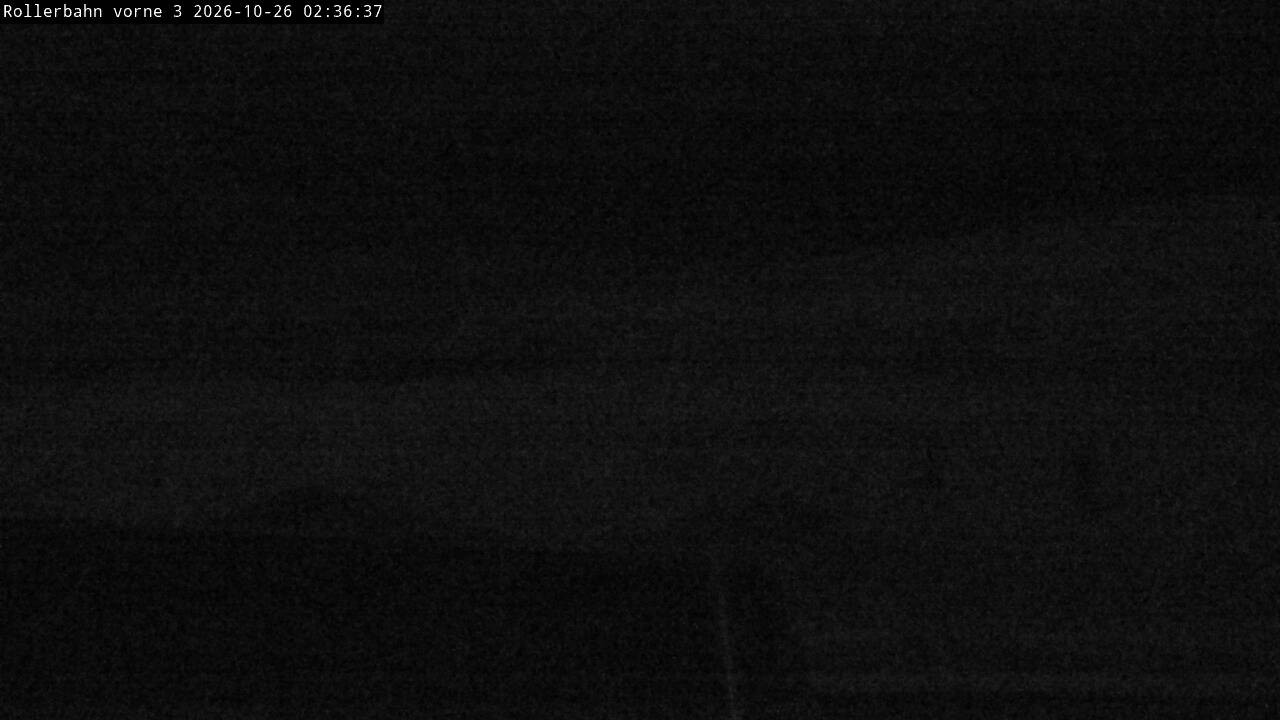 Archiv Foto Webcam Willingen - Blick Rollerbahn der Biathlon Arena