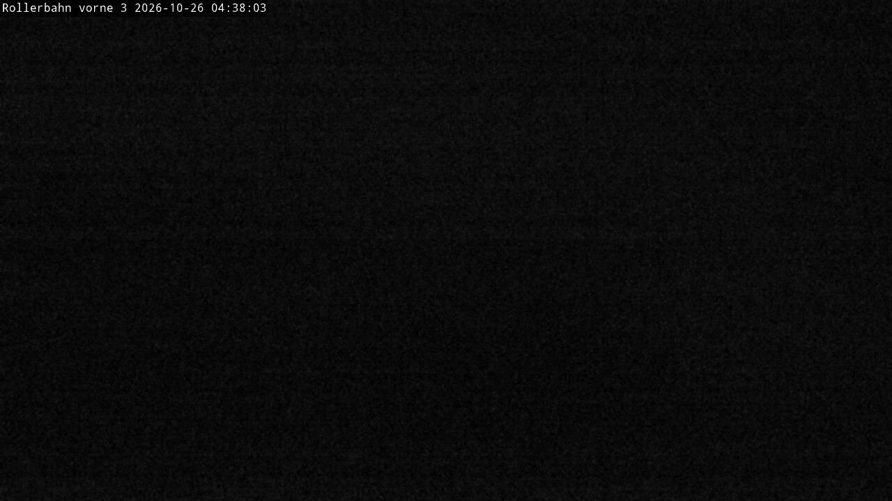 Archiv Foto Webcam Willingen - Blick Rollerbahn der Biathlon Arena