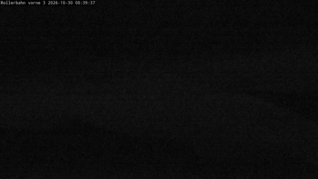 Archiv Foto Webcam Willingen - Blick Rollerbahn der Biathlon Arena
