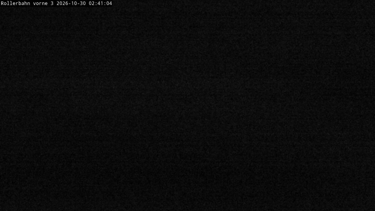 Archiv Foto Webcam Willingen - Blick Rollerbahn der Biathlon Arena