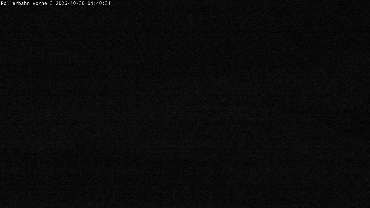 Archiv Foto Webcam Willingen - Blick Rollerbahn der Biathlon Arena