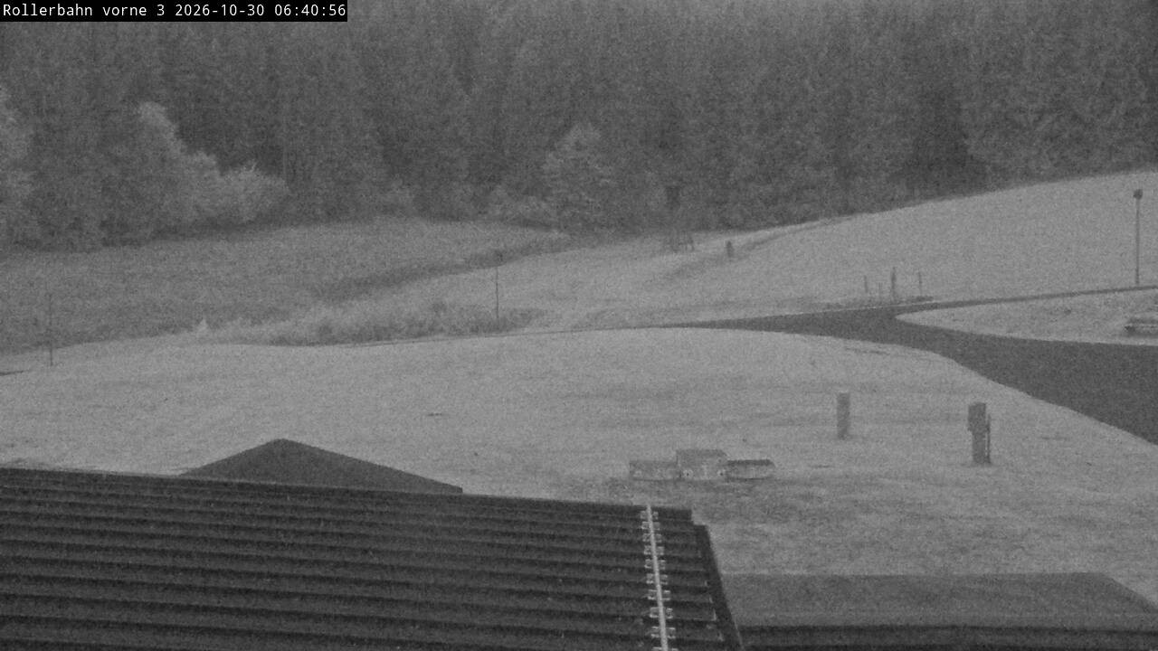 Archiv Foto Webcam Willingen - Blick Rollerbahn der Biathlon Arena