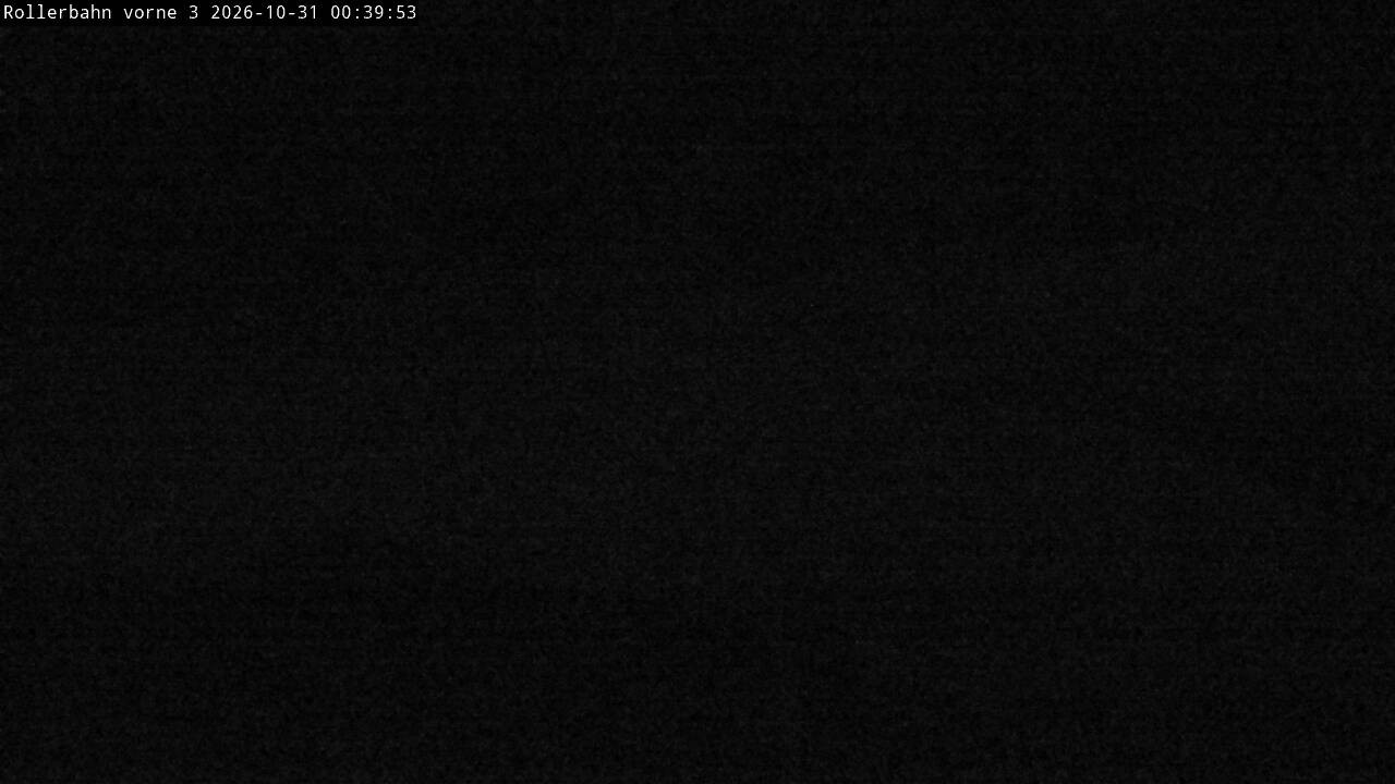 Archived image Webcam Willingen - View Roller Ski in Biathlon Arena