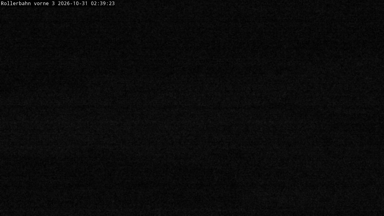 Archived image Webcam Willingen - View Roller Ski in Biathlon Arena