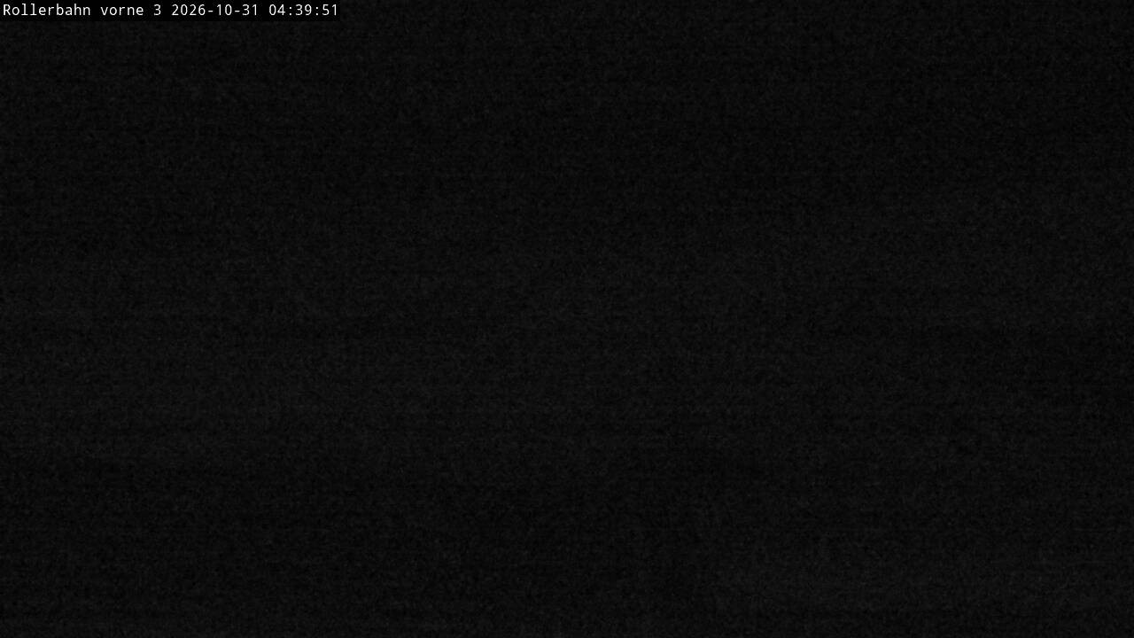 Archiv Foto Webcam Willingen - Blick Rollerbahn der Biathlon Arena