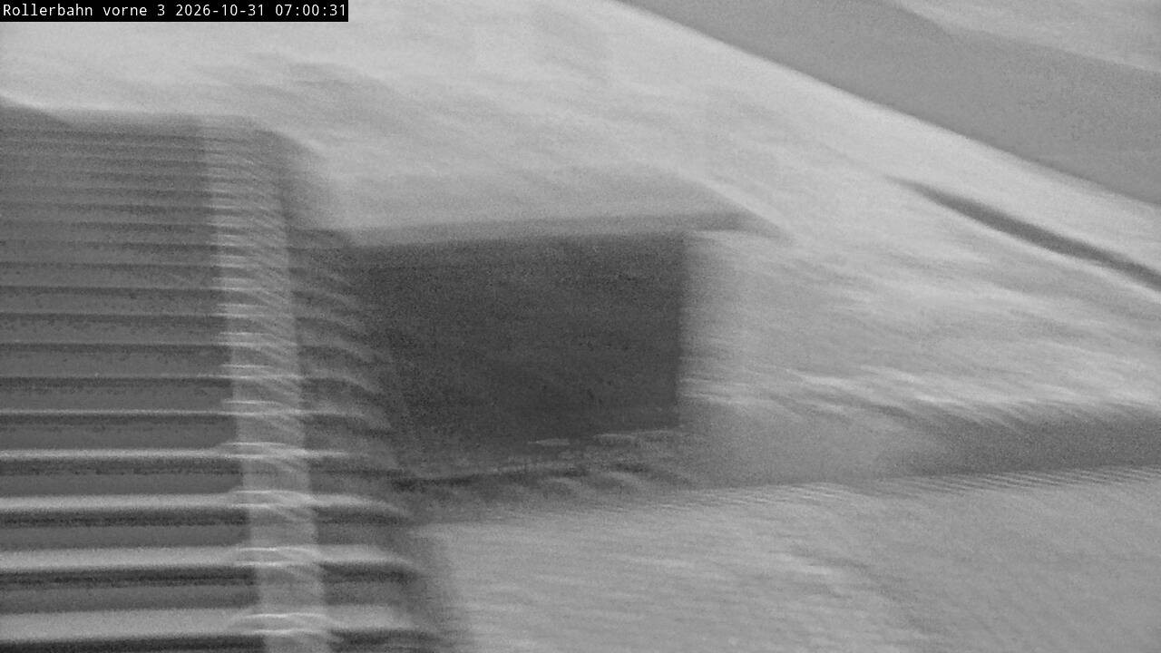 Archiv Foto Webcam Willingen - Blick Rollerbahn der Biathlon Arena