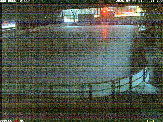 Archiv Foto Webcam Willingen: Blick in die Eissporthalle