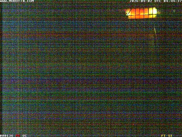 Archiv Foto Webcam Willingen: Blick in die Eissporthalle