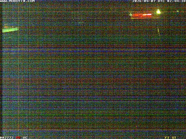Archiv Foto Webcam Willingen: Blick in die Eissporthalle