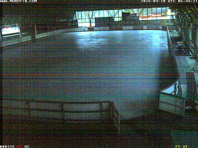Archiv Foto Webcam Willingen: Blick in die Eissporthalle
