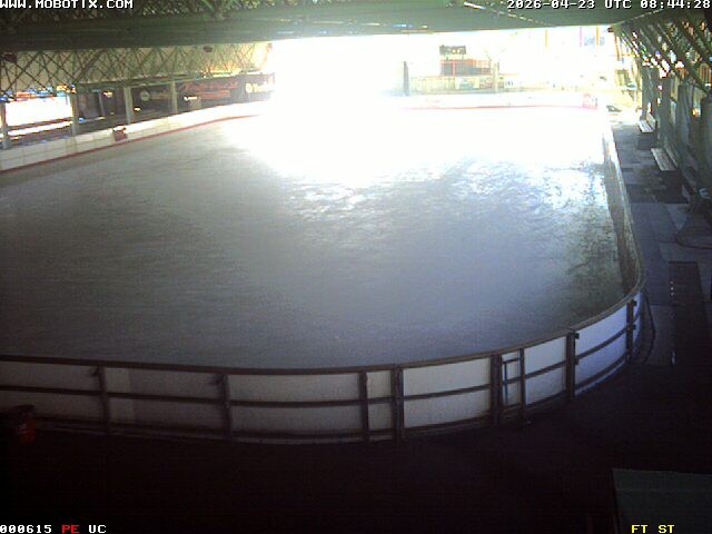 Archiv Foto Webcam Willingen: Blick in die Eissporthalle