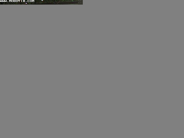 Archived image Willingen - Webcam Ice Arena