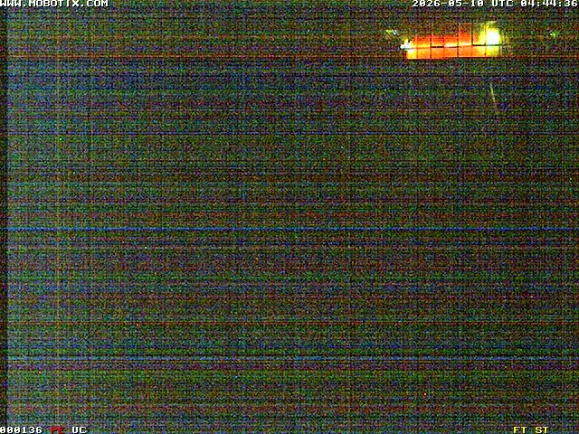 Archiv Foto Webcam Willingen: Blick in die Eissporthalle