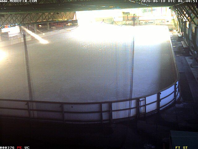 Archiv Foto Webcam Willingen: Blick in die Eissporthalle