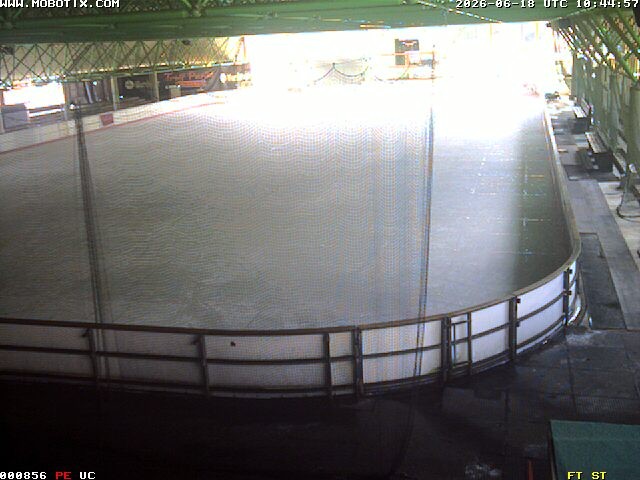 Archiv Foto Webcam Willingen: Blick in die Eissporthalle