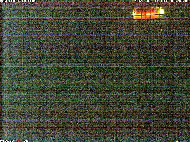 Archiv Foto Webcam Willingen: Blick in die Eissporthalle