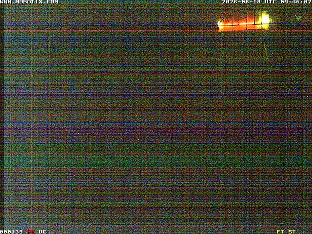 Archiv Foto Webcam Willingen: Blick in die Eissporthalle