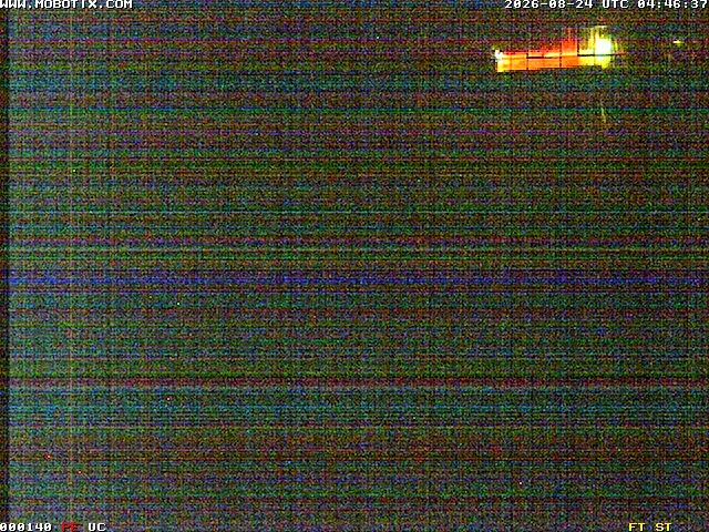 Archiv Foto Webcam Willingen: Blick in die Eissporthalle