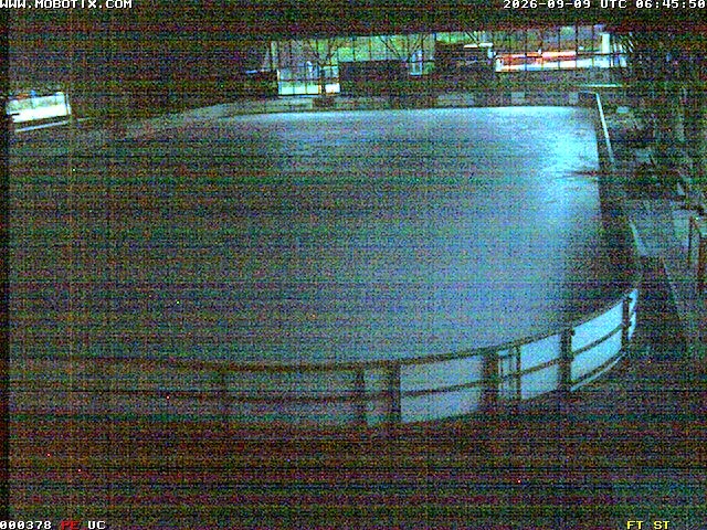 Archiv Foto Webcam Willingen: Blick in die Eissporthalle