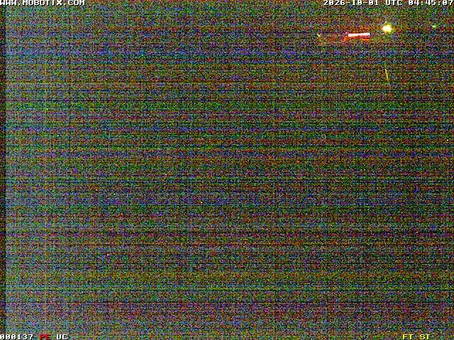 Archiv Foto Webcam Willingen: Blick in die Eissporthalle